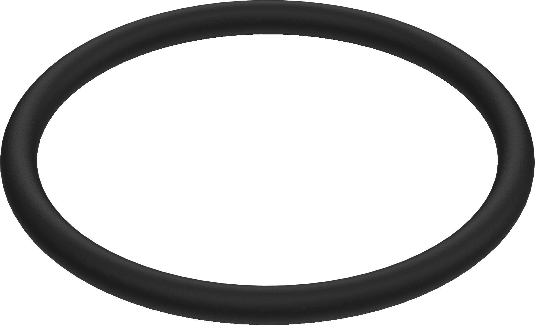 Flush valve holder O-ring